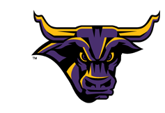 Minnesota State University - Cheer